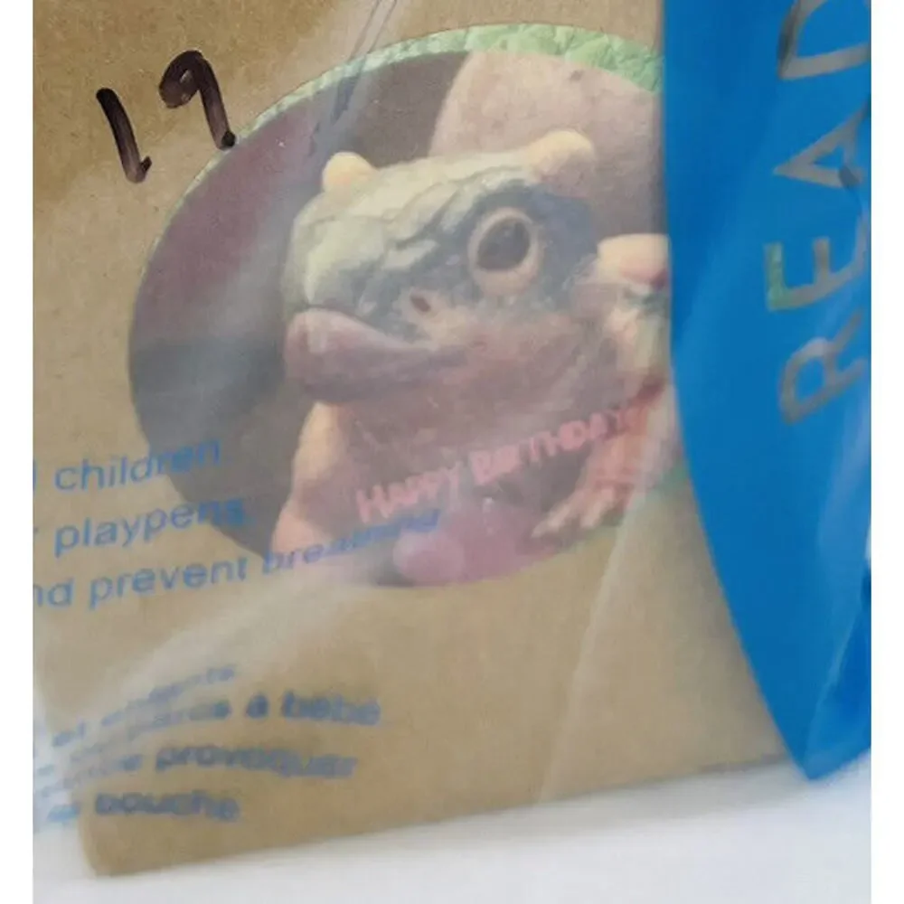 Dino Paper Popcorn Box Popcorn Tube Disposable Food Box Square Packing Box 19pcs